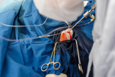 Similar image 22245062