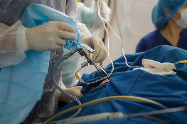 Similar image 22245063