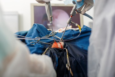 Similar image 22245064