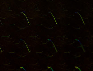 Similar image 22246417