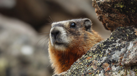 Similar image 22234017