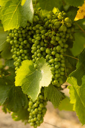 Similar image 22236297