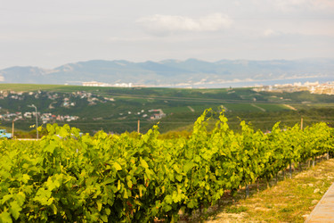 Similar image 22236298