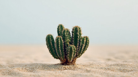 Similar image 22233765