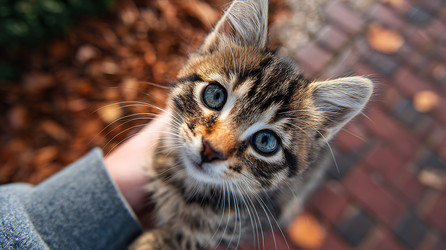 Similar image 22234501