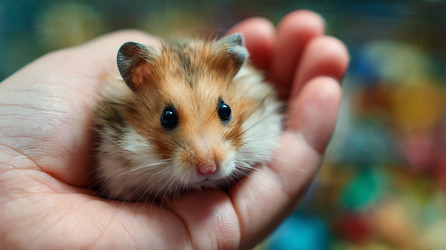 Similar image 22234519