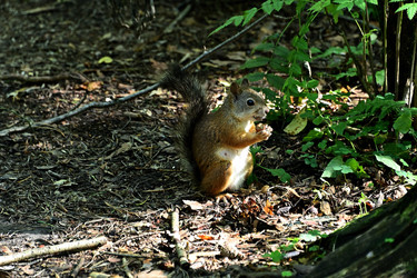 Similar image 22235640