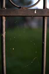 Similar image 22235653