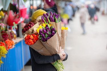 Similar image 22236736