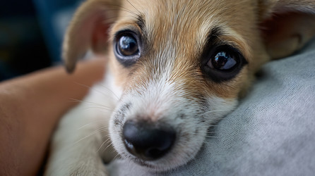 Similar image 22234117