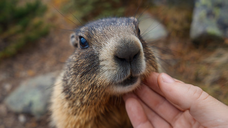 Similar image 22233823