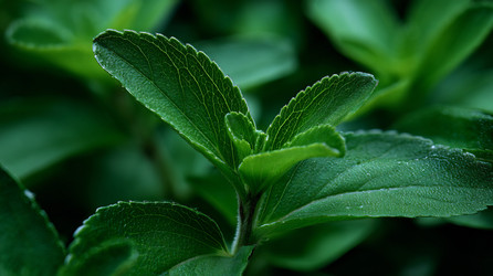 Similar image 22233851