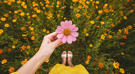 Similar image 22234586