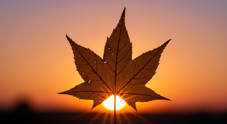 Similar image 22234595