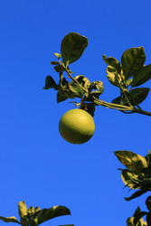 Similar image 22233626