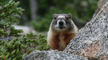 Similar image 22234344