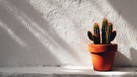 Similar image 22234358