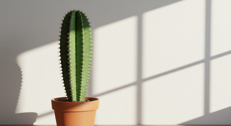 Similar image 22234359