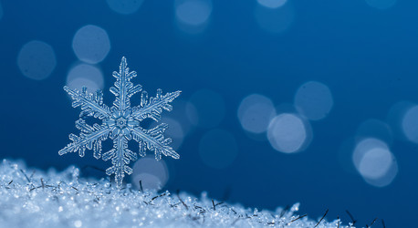 Similar image 22234605