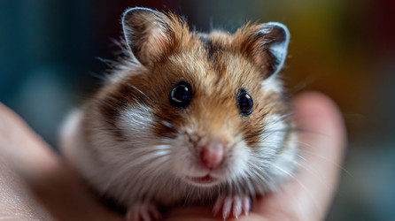 Similar image 22234633