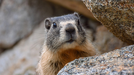 Similar image 22234638