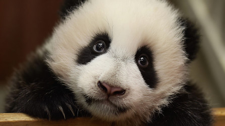 Similar image 22234716