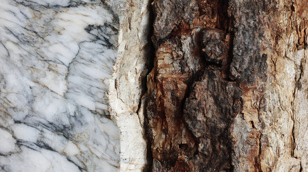 Similar image 22235124