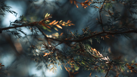 Similar image 22234979