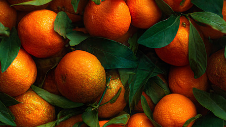 Similar image 22234982