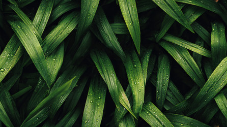 Similar image 22235128