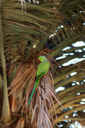 Similar image 22234721