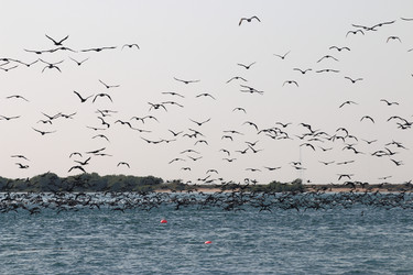 Similar image 22233628