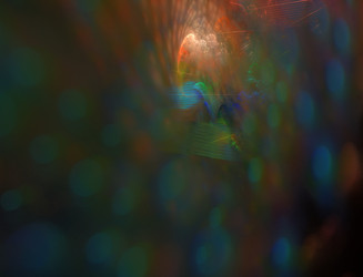 Similar image 22245913