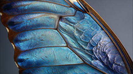 Similar image 22234364