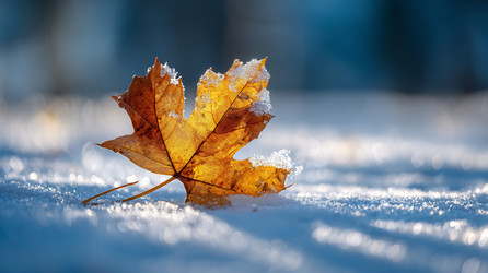 Similar image 22234378