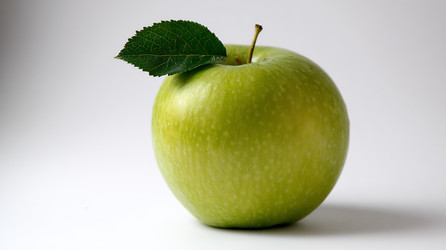 Similar image 22234162