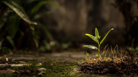 Similar image 22234993