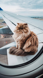 Similar image 22234218