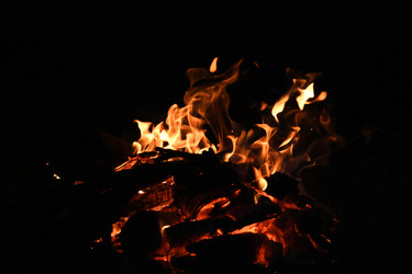 Similar image 22233567