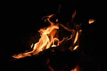 Similar image 22233591