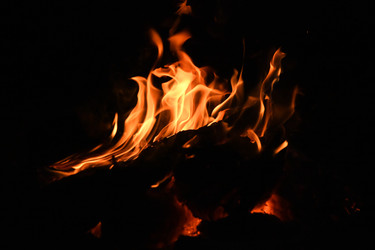 Similar image 22233599