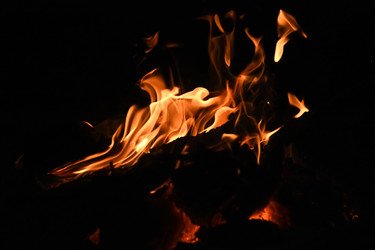 Similar image 22233600