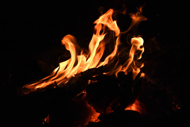 Similar image 22233602