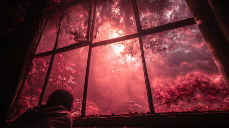 Similar image 22234002