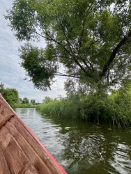 Similar image 22235010