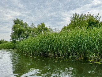 Similar image 22235012