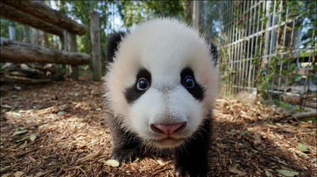 Similar image 22234463