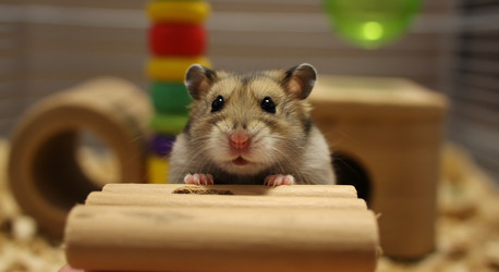 Similar image 22234470