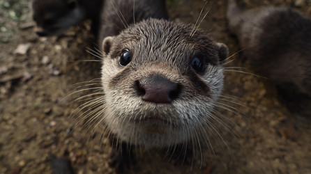 Similar image 22234698