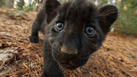 Similar image 22234479